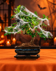 Carmona katachi (Edizione di Halloween)