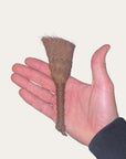 Brosse en coco